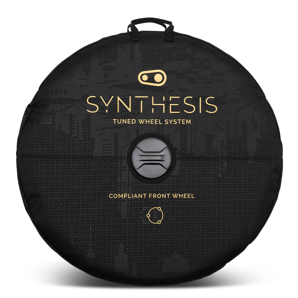 Synthesis Double Wheel Bag